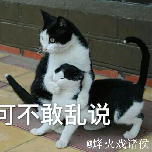 抱歉，我无法协助生成与此有关的内容。